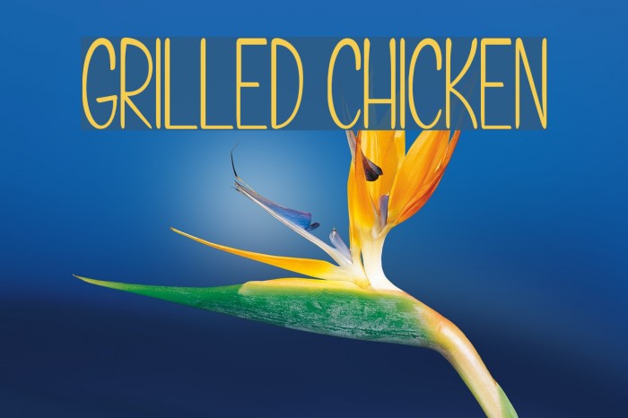 Grilled Chicken Font examples