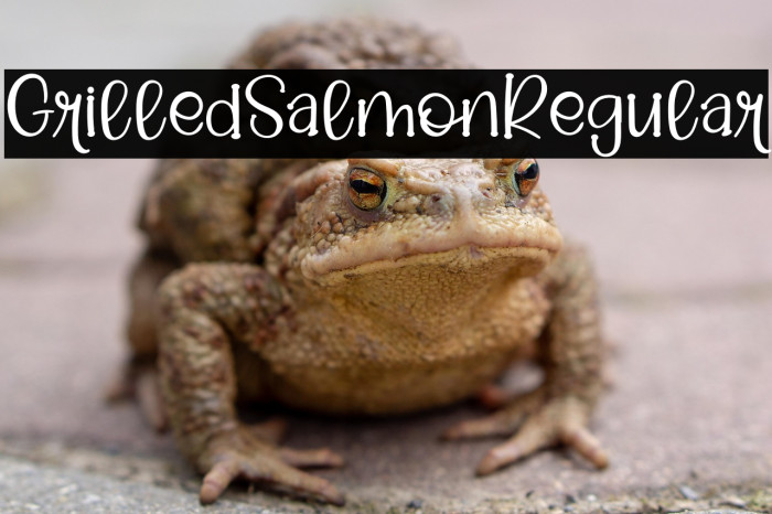 GrilledSalmonRegular Example 2