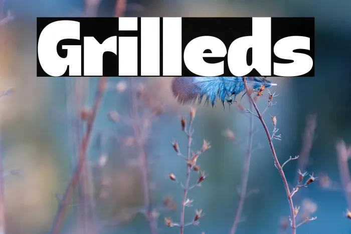 Grilleds Example 1