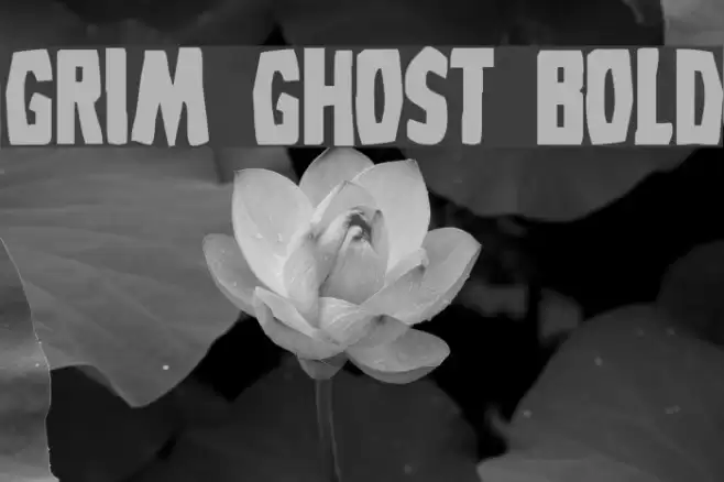 Grim Ghost Bold Font examples
