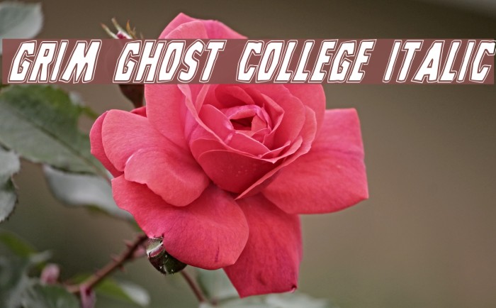 Grim Ghost College Italic Example 2