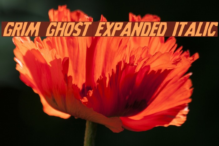 Grim Ghost Expanded Italic Font examples