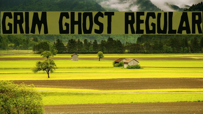 Grim Ghost Regular Font examples