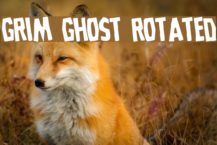 Grim Ghost Rotated Font examples