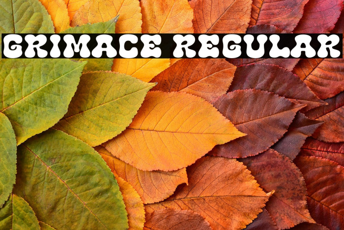 Grimace Regular Example 1