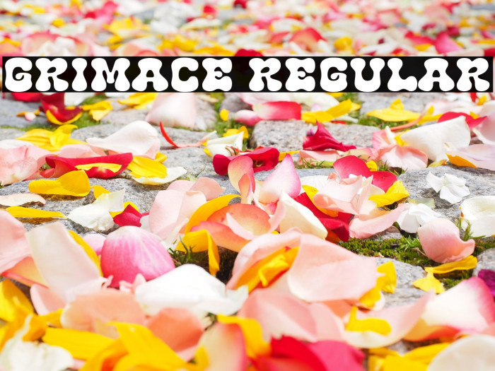 Grimace Regular Example 3
