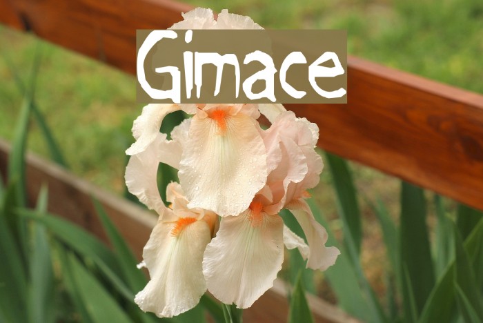 Grimace Font examples