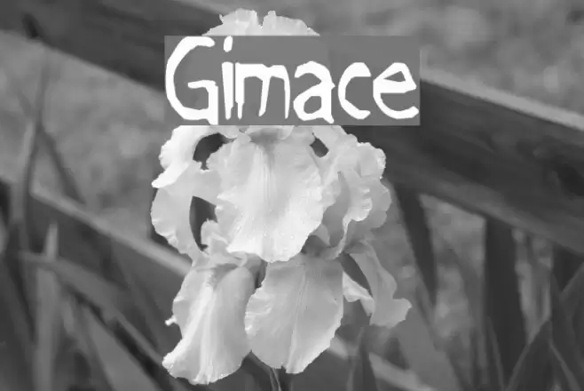 Grimace Font examples