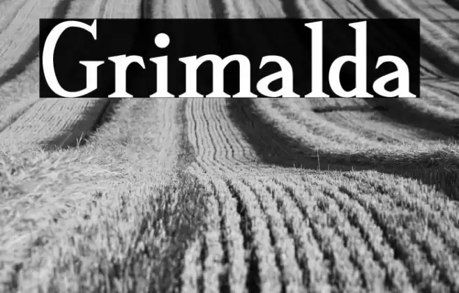 Grimalda Font examples