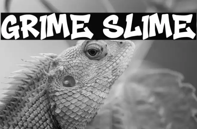 Grime Slime Schriftart examples