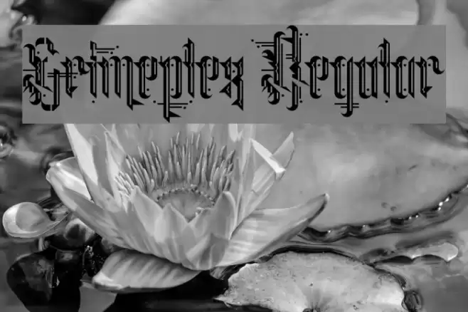 Grimeplex Regular Font examples