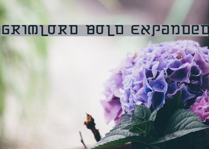 Grimlord Bold Expanded Font examples