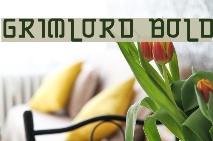 Grimlord Bold Example 1