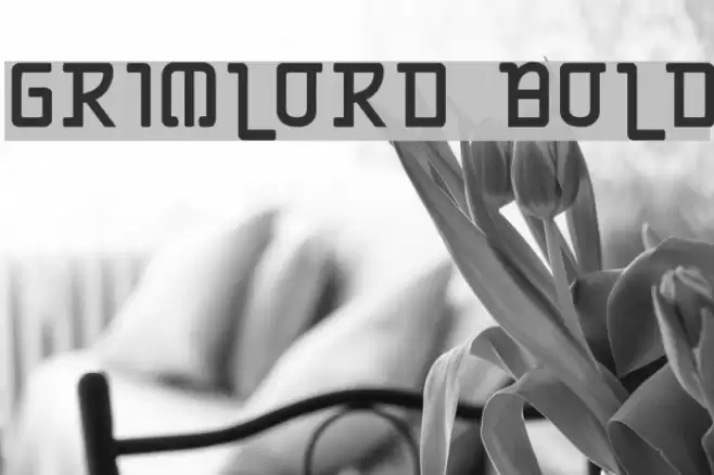 Grimlord Bold Font examples