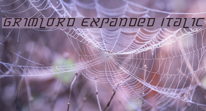 Grimlord Expanded Italic Font examples