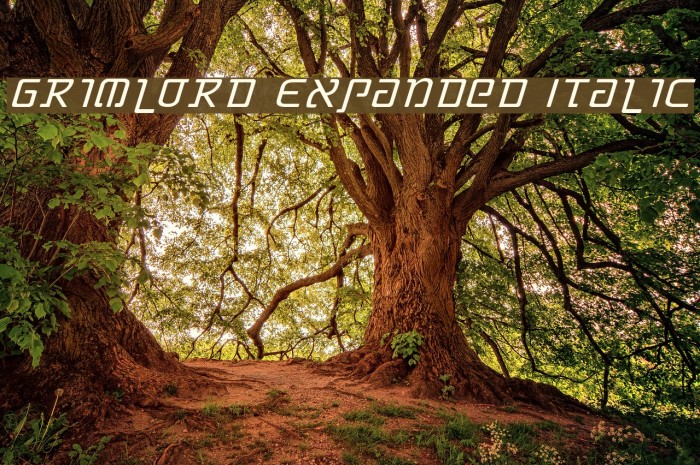 Grimlord Expanded Italic Font examples