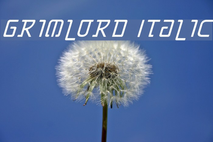 Grimlord Italic Example 3