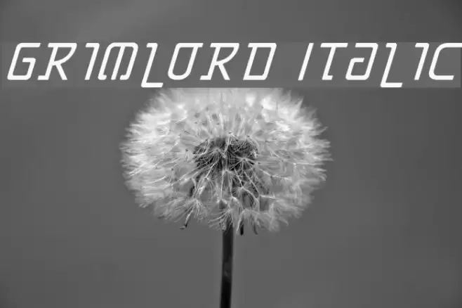 Grimlord Italic Font examples