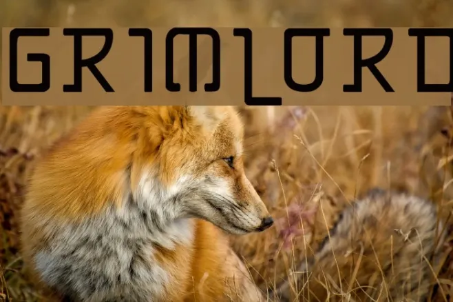 Grimlord Example 1