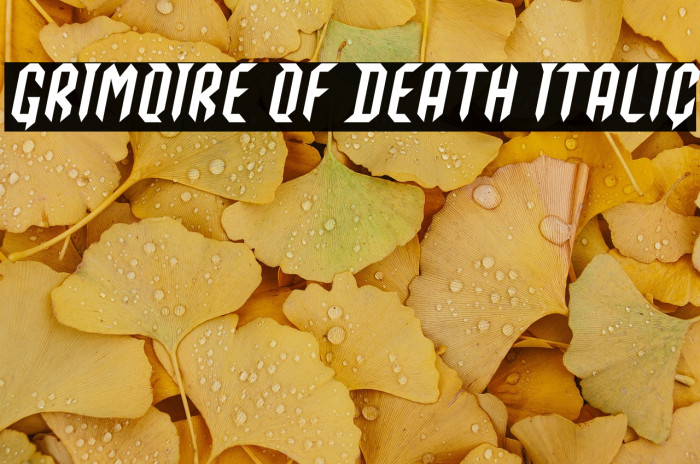 Grimoire Of Death Italic Example 3