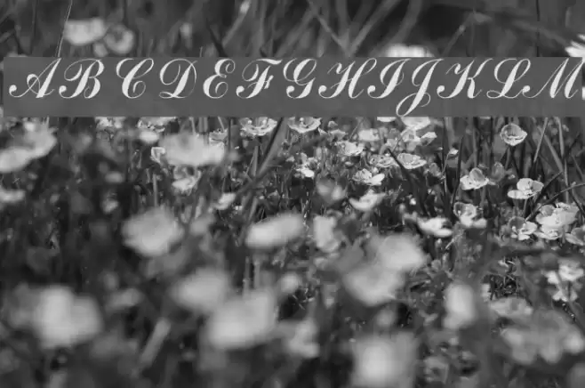 Grimpar Regular Font examples