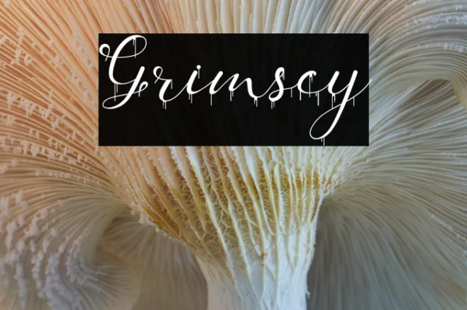 Grimscy Example 3