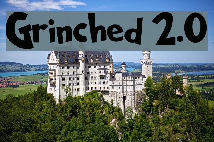 Grinched 2.0 Example 3