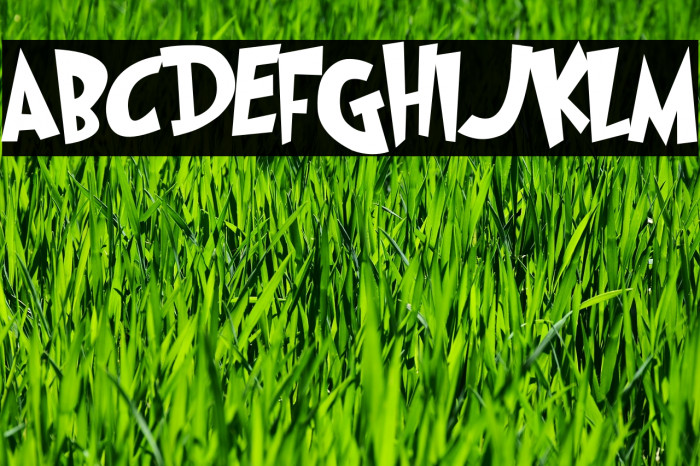 Grinched2.0 Example 1