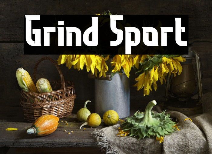 Grind Sport Example 1