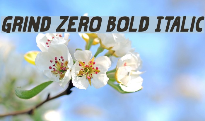 Grind Zero Bold Italic Font examples