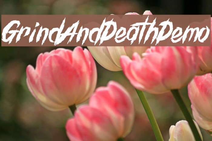 GrindAndDeath_Demo Font examples