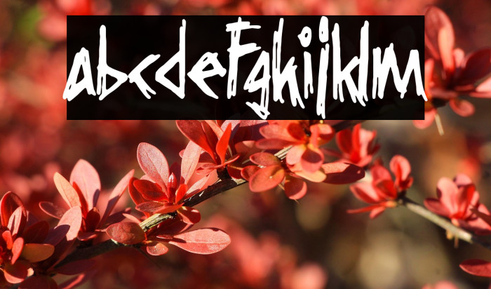 Grindcore Records Example 2