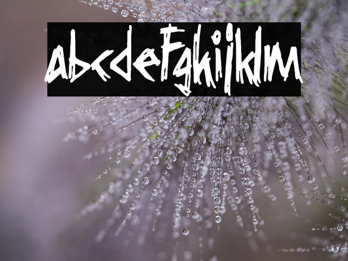 Grindcore Records Example 3