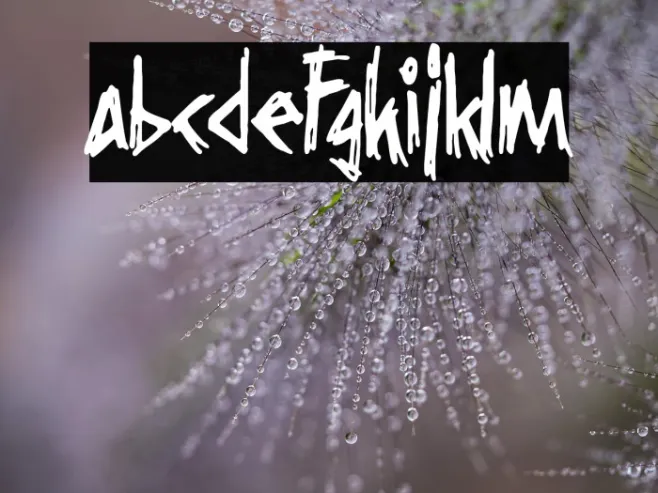 Grindcore Records Example 3