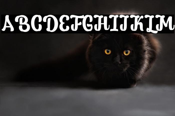 Grindel Milk personal use Example 1