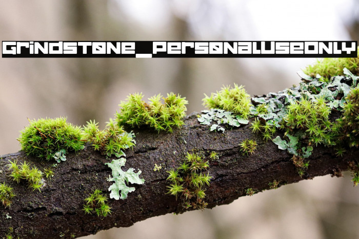 Grindstone_PersonalUseOnly Example 2