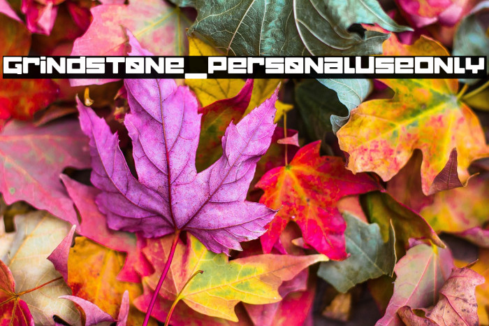 Grindstone_PersonalUseOnly Example 3