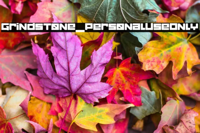Grindstone_PersonalUseOnly Example 3