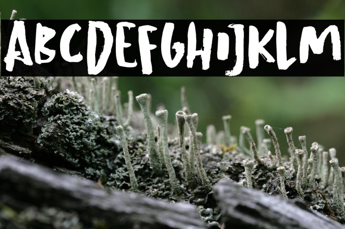 Grindylow DEMO Regular Example 1