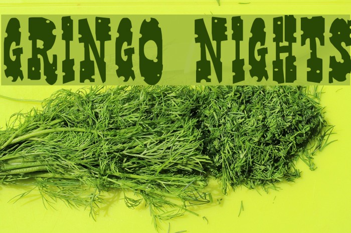Gringo Nights Font examples