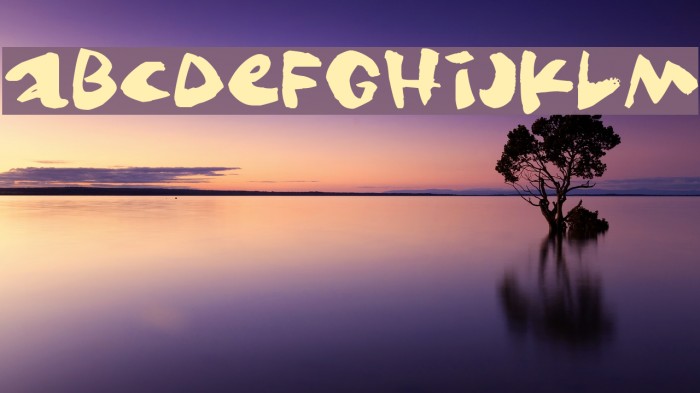 Gringo Font examples