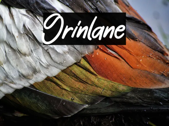 Grinlane Example 3