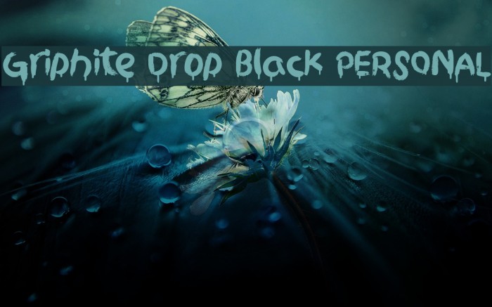Griphite Drop Black PERSONAL Font examples