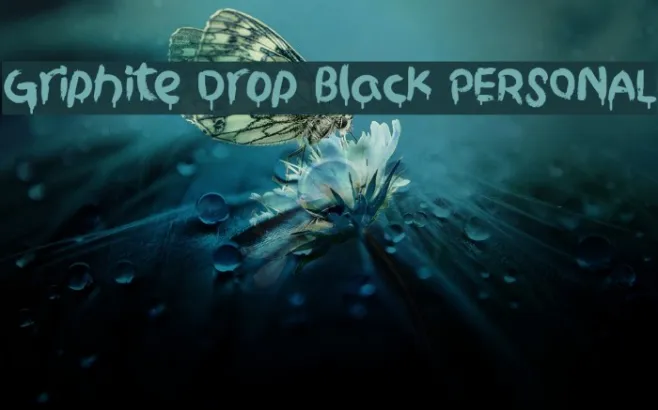 Griphite Drop Black PERSONAL Example 2