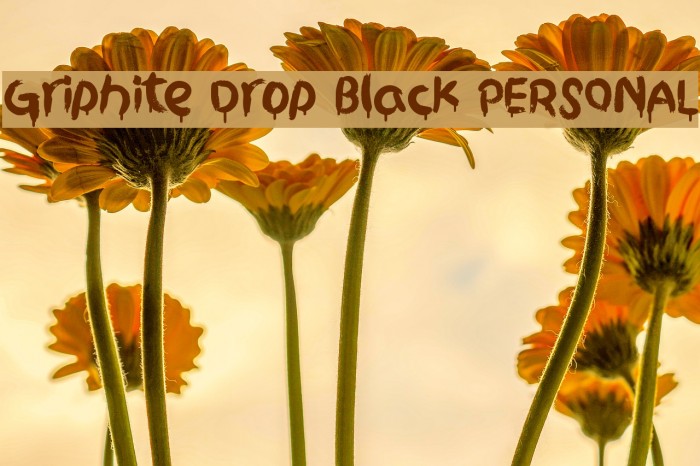 Griphite Drop Black PERSONAL Font examples