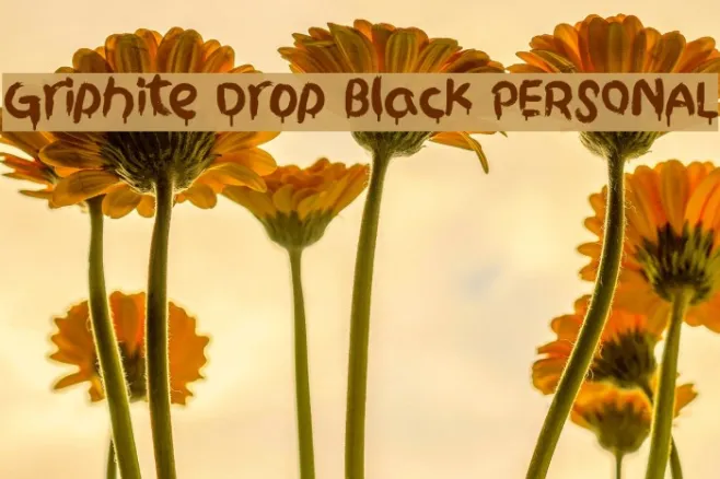 Griphite Drop Black PERSONAL Example 3