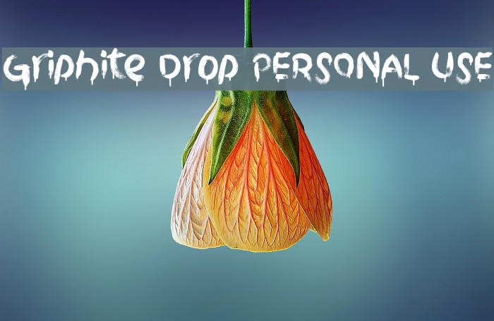 Griphite Drop PERSONAL USE Font examples