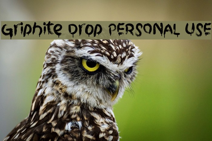 Griphite Drop PERSONAL USE Font examples