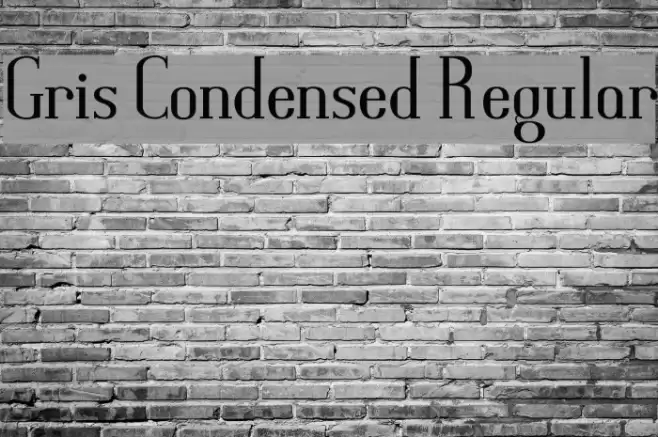 Gris Condensed Regular Font examples