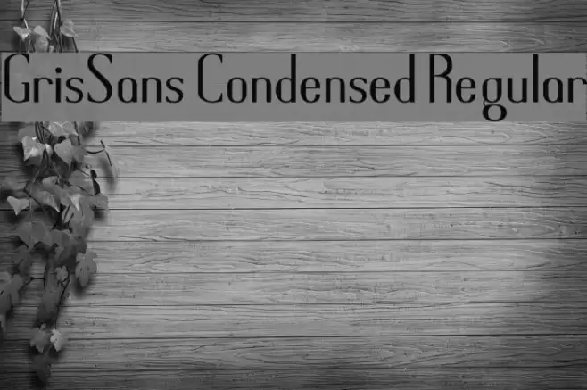 GrisSans Condensed Regular Schriftart examples